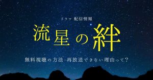 流星の絆_配信_サムネイル画像